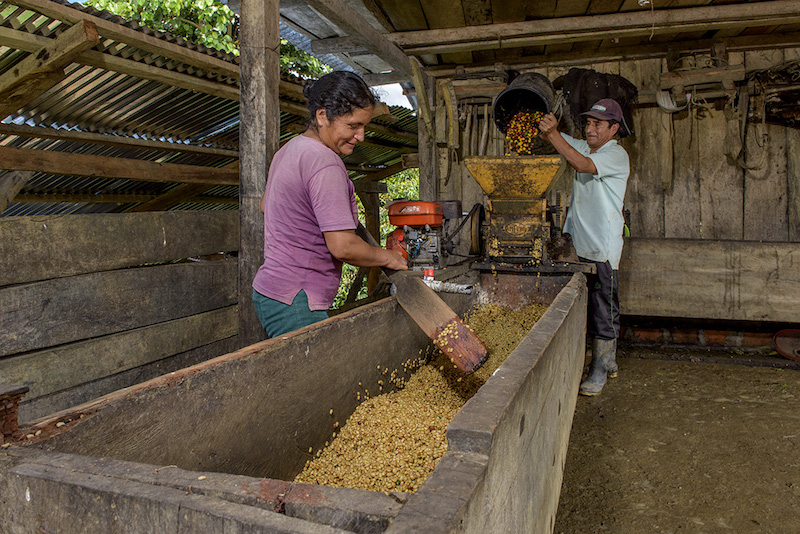 Monte Alegre coffee growers